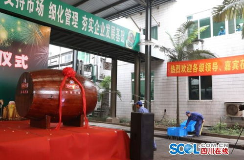 青岛啤酒易拉罐生产线落地泸州