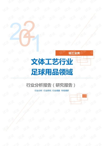 轻工业类文体工艺行业足球用品领域分析报告 研究报告 .pdf资源 csdn文库