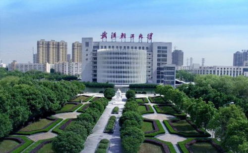 武汉大学 武汉生活网
