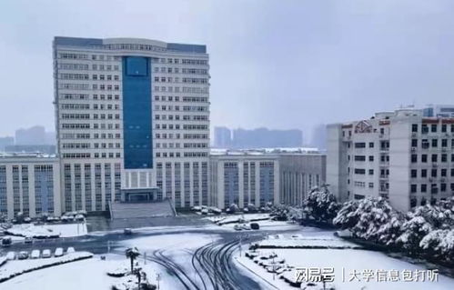 武汉轻工大学王牌专业有哪些 这个就很好