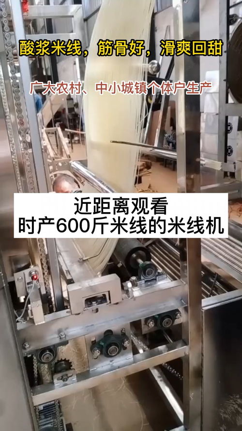 米线机 轻工制造业中的高效食品机械